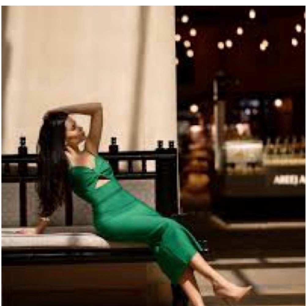 Bella Barnett Bodycon Midi Dress